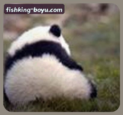 许慧